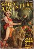 Spicy Adventure Stories - February 1935 thumbnail