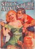 Spicy Adventure Stories - January 1938 thumbnail