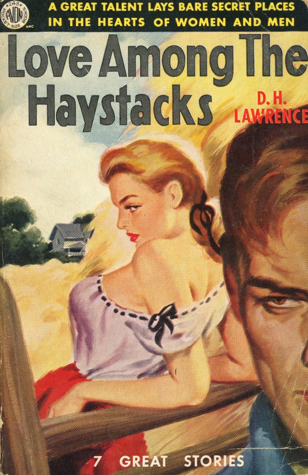 53662447569-avon-books-248-dh-lawrence-love-among-the-haystacks