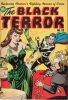 The Black Terror #22 thumbnail