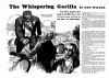 FA 40-05 0006 -Gorilla thumbnail