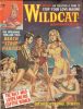 Wildcat Adventures November 1963 thumbnail