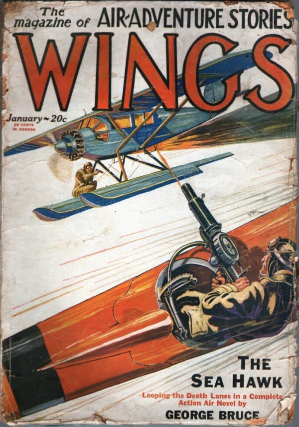 Wings January 1929