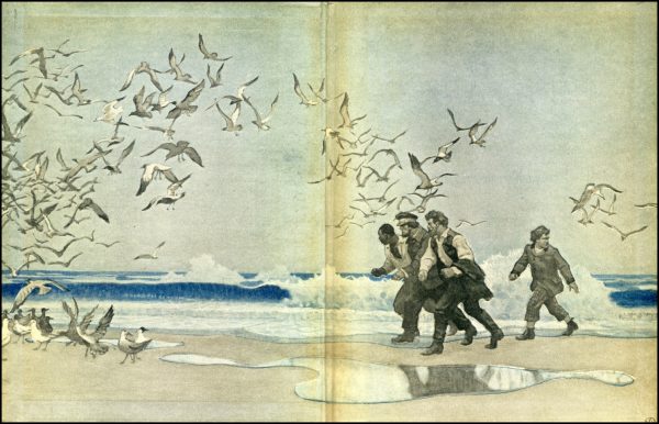 02_mysteriousisland_wyeth_endpapers