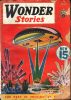 Wonder Stories, March-April 1936 thumbnail