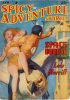Spicy Adventure Stories - February 1941 thumbnail