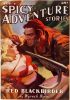Spicy Adventure Stories - February 1938 thumbnail