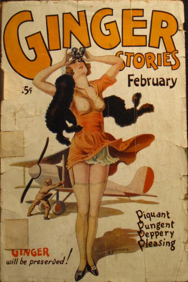 Ginger Stories February 1930