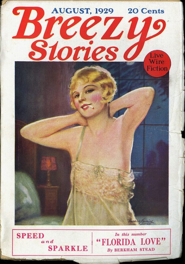 Breezy Stories August 1929