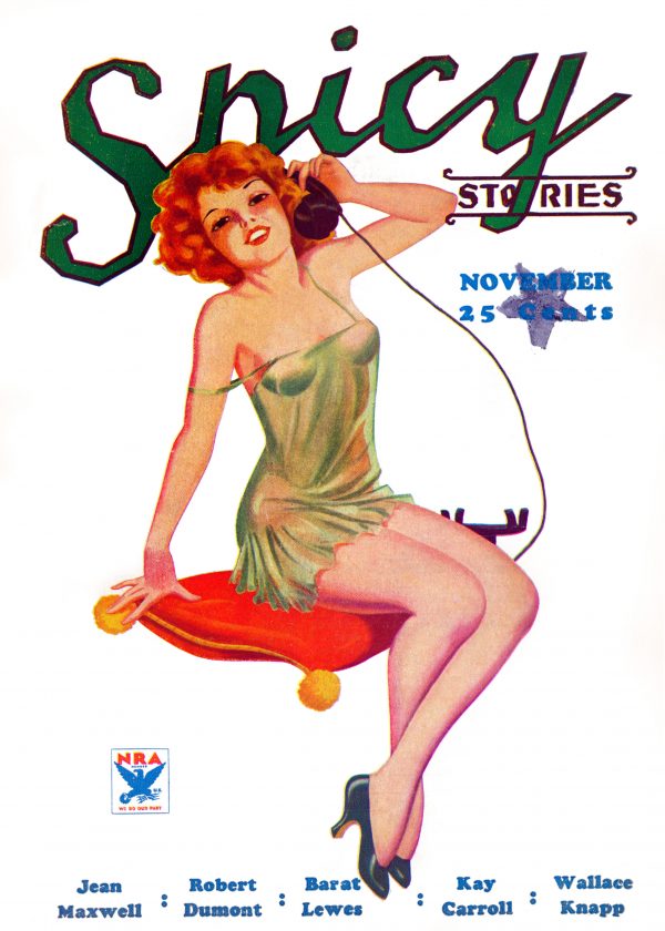 Spicy Stories -November 1933