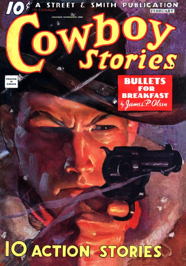 Cowboy Stories February 1935