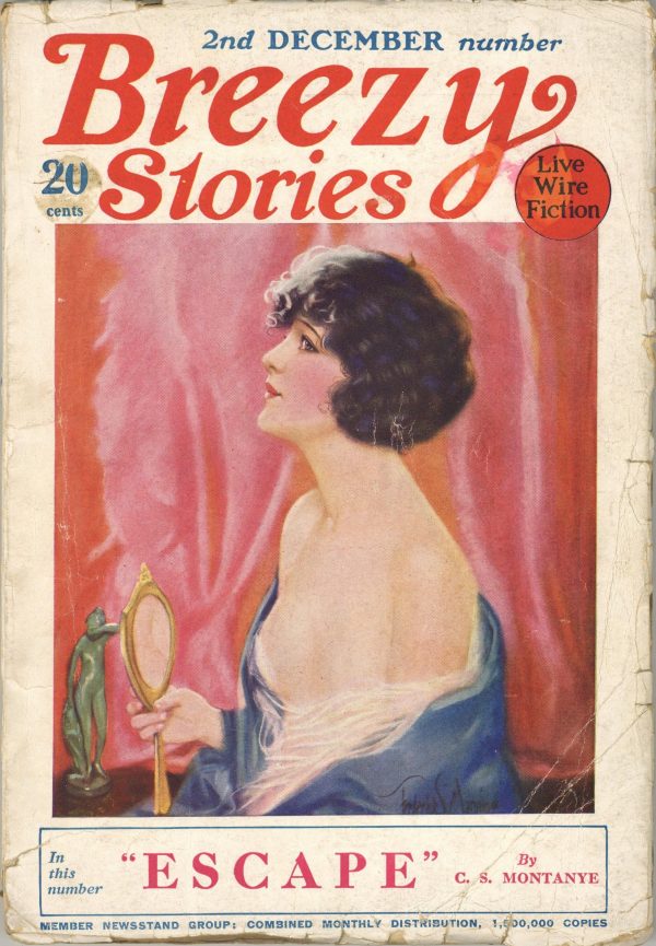 Breezy Stories December 1925