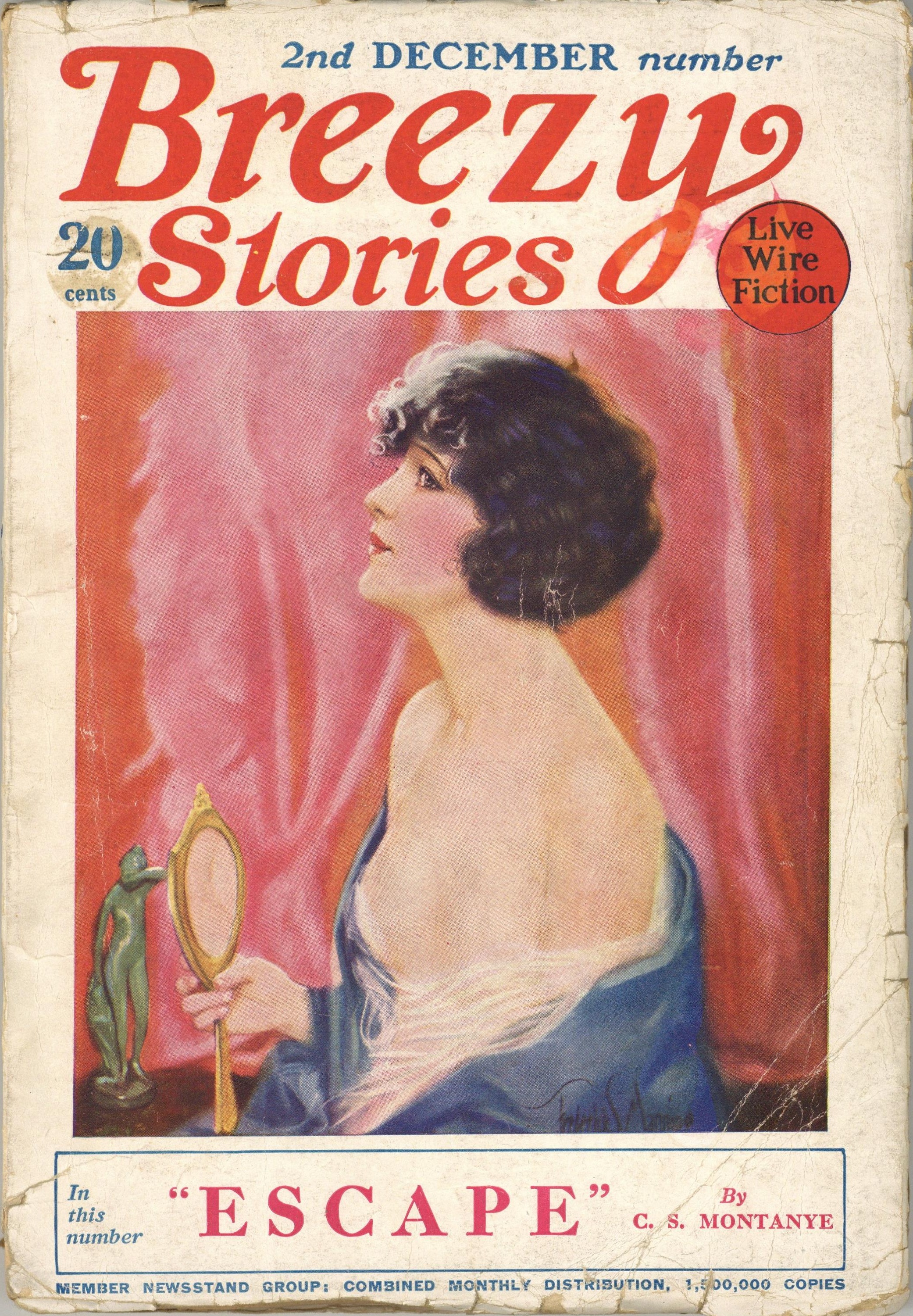Breezy Stories December 1925