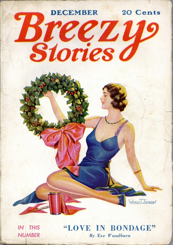 Breezy Stories December 1932